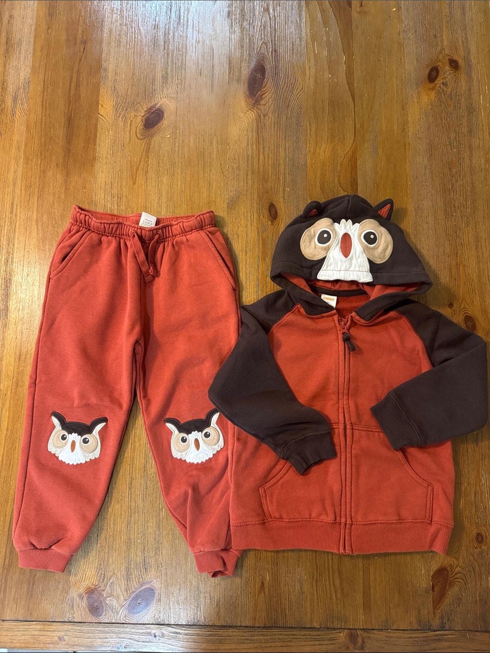 Gymboree Kids 2Pc Owl Zip Hoodie & Joggers Set 4T